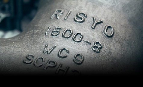 国内製材料を使用（圧力容器部の鋳鋼・鍛鋼素材）